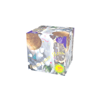 Новогодняя ночь Салют купить в Новоалександровске | novoaleksandrovsk.salutsklad.ru