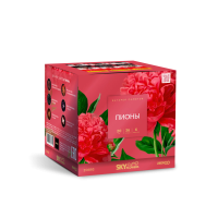 Пионы Салют купить в Новоалександровске | novoaleksandrovsk.salutsklad.ru