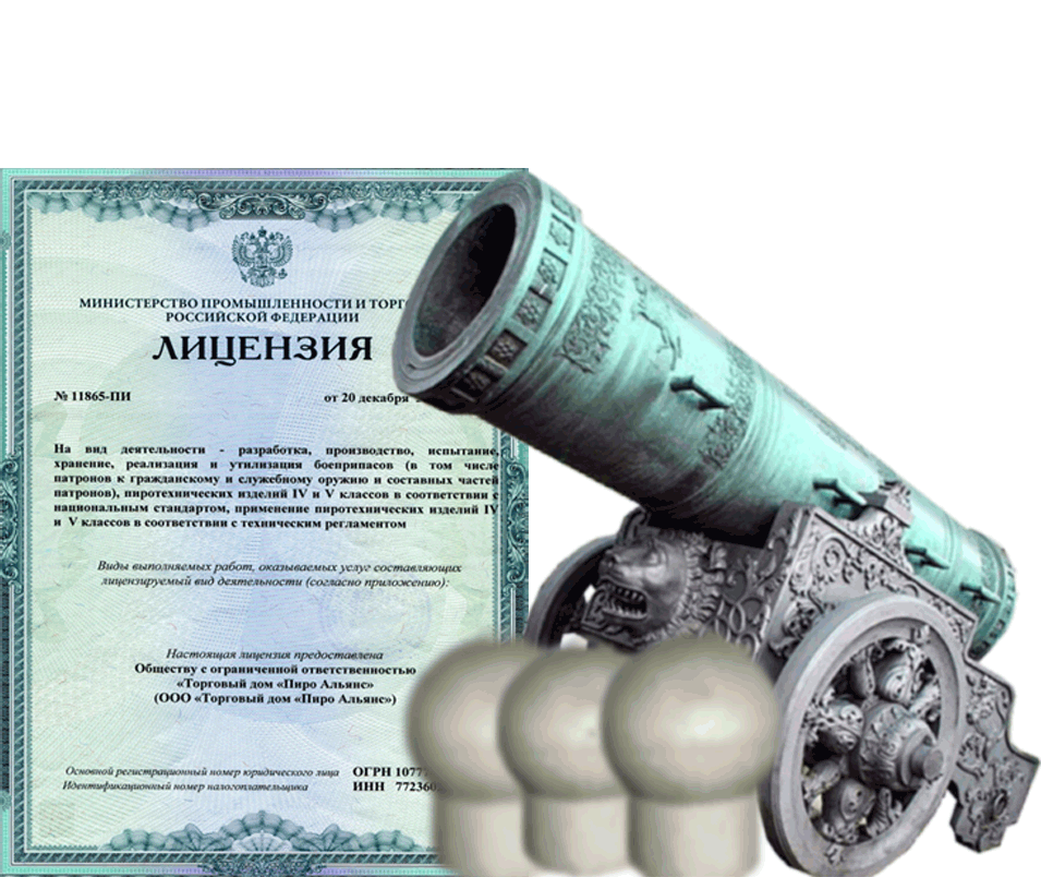 Заказать фейерверк на Новый Год - салют в Новоалександровске