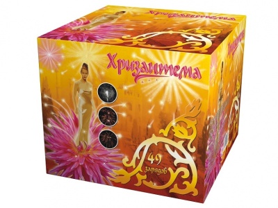 Хризантема Салют купить в Новоалександровске | novoaleksandrovsk.salutsklad.ru