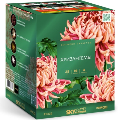 Хризантемы Фейерверк купить в Новоалександровске | novoaleksandrovsk.salutsklad.ru