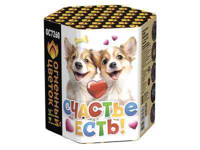 Счастье есть! Салют купить в Новоалександровске | novoaleksandrovsk.salutsklad.ru