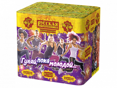 Гуляй, пока молодой Салют купить в Новоалександровске | novoaleksandrovsk.salutsklad.ru