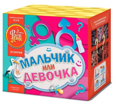 Мальчик или девочка М Фейерверк купить в Новоалександровске | novoaleksandrovsk.salutsklad.ru