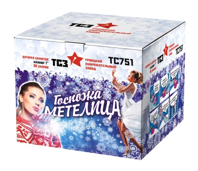 Госпожа Метелица Фейерверк купить в Новоалександровске | novoaleksandrovsk.salutsklad.ru