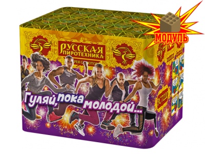 Гуляй, пока молодой... Фейерверк купить в Новоалександровске | novoaleksandrovsk.salutsklad.ru