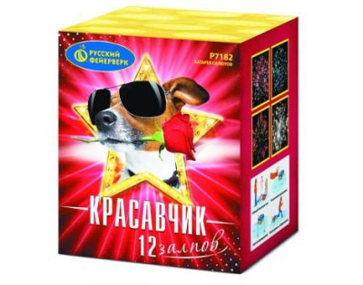 Красавчик Салют купить в Новоалександровске | novoaleksandrovsk.salutsklad.ru